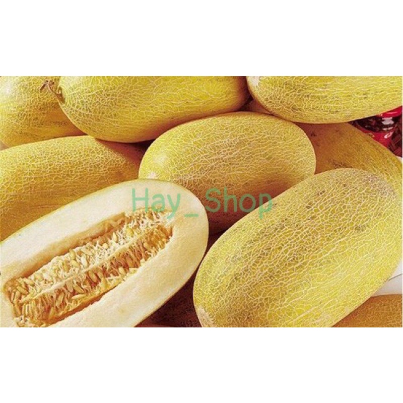 Hạt giống dưa lưới vàng (10 hạt)