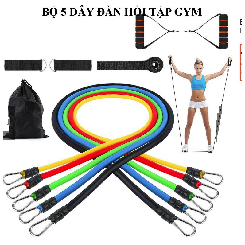 MÓC TO-Bộ 5 dây kéo chất lượng tập thể thao, Bộ dây ngũ sắc tập thể hình, tập gym đa năng tại nhà cho mọi lứa tuổi