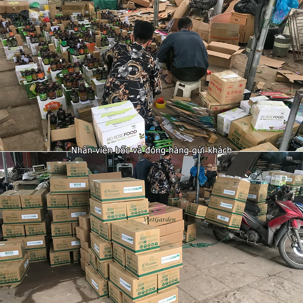Bộ chế phẩm sinh học Guard sạch bọ trĩ, nhện, sâu, bệnh gồm dầu neem oil, nấm trichoderma, nano bạc đồng cho cây cảnh