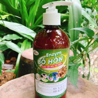 Enzym tẩy rửa đa năng bồ hòn