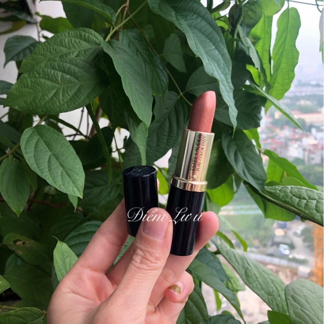 Son Estee Lauder Pure Color Envy 111 tiger eye