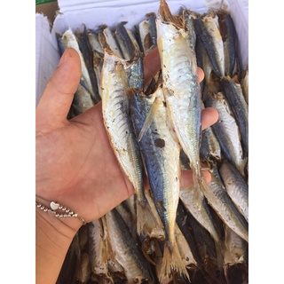 0,5kg cơm khô , 0,5kg cá nục khô