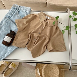 Áo polo croptop chất xốp mềm basic