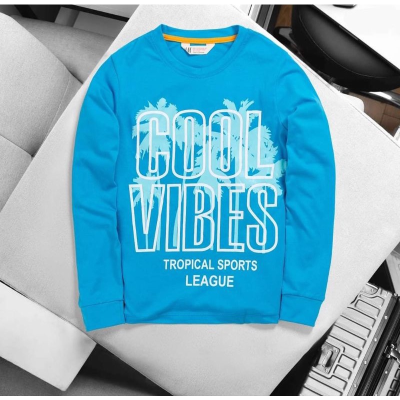 Áo bé trai dài tay thu đông chất cotton xuất dư mỏng mát size đại 20-50kg