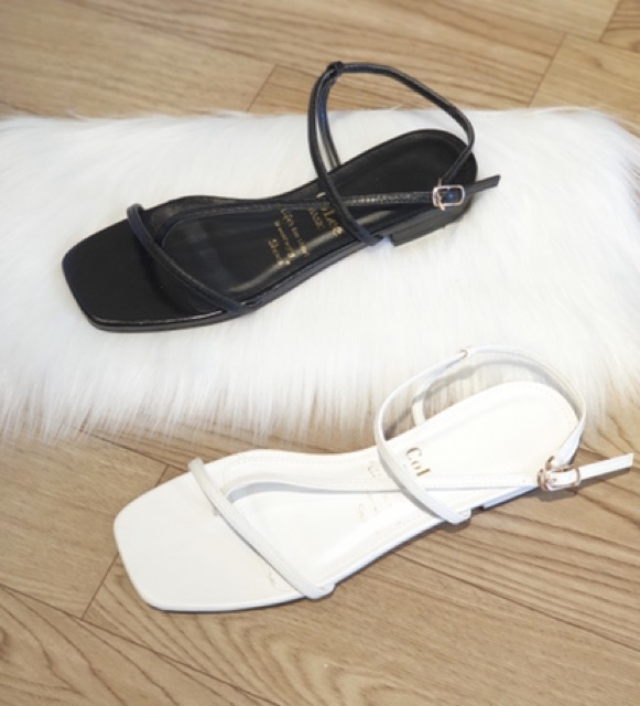 SANDAL DÂY COLEE🌱