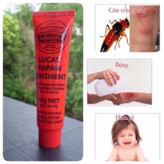 (Bán sỉ) Combo 5 Kem đa năng Lucas Papaw Ointment 25g Úc