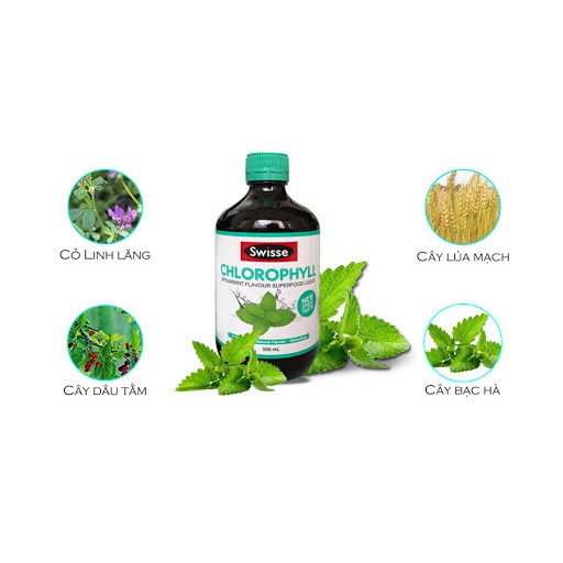 Nước Diệp Lục Swisse Chlorophyll Spearmint Flavour Supperfood Liquid 500 ml | Thế Giới Skin Care