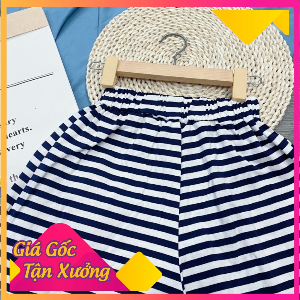 [Trợ Giá] Quần Đùi Sọc Nữ Thun Cotton Thể Thao MS300
