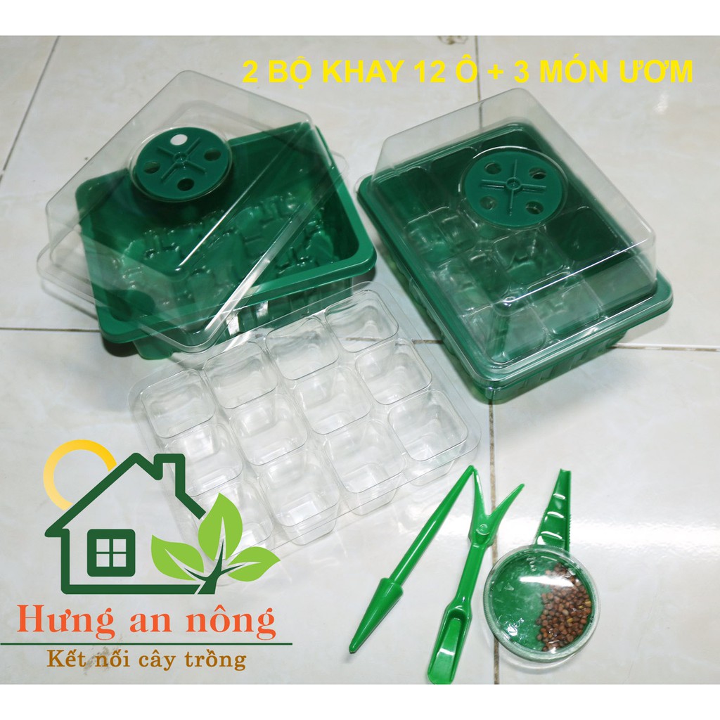 Hộp ươm hạt giống - màu xanh và đen 6/12 ô vuông có nắp đậy điều chỉnh nhiệt độ ẩm cây dễ dàng phát triển mạnh.