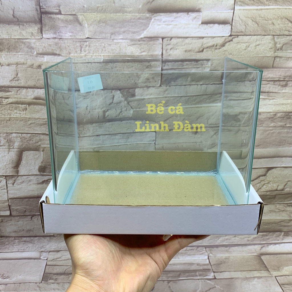 Bể Cá Chữ Nhật 20cm Kính Đúc Bo Góc Đẹp - Bể Cá Mini Dài 20cm