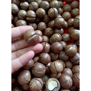 Macca sấy nứt hạt