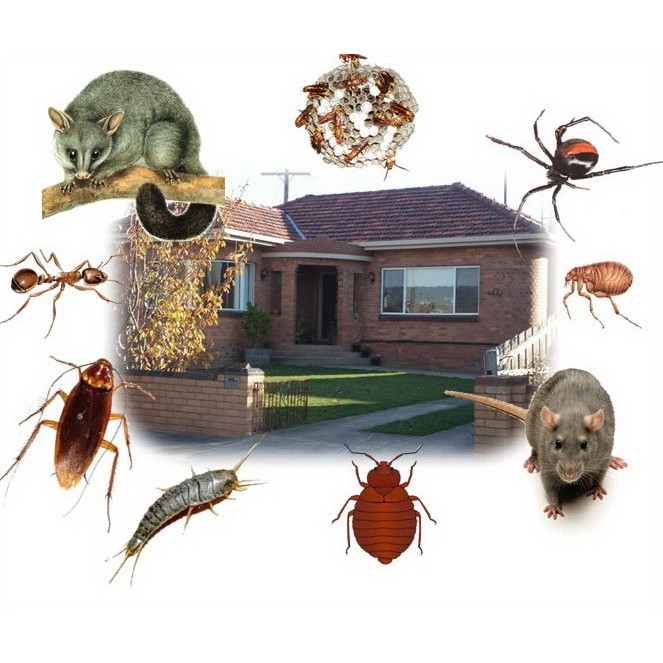Máy Pest Reject đuổi côn trùng, chuột, gián,ruồi,muỗi