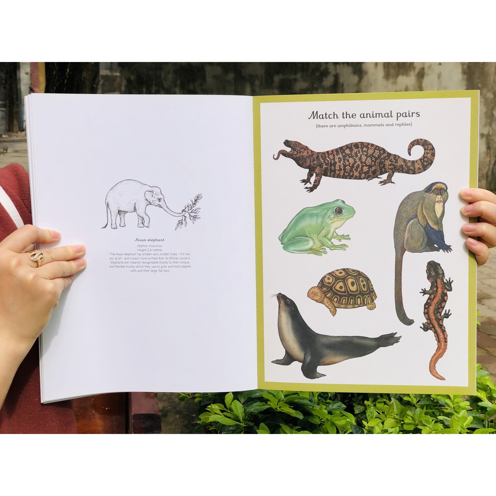 Animalium activity book - Sách hoạt động về động vật