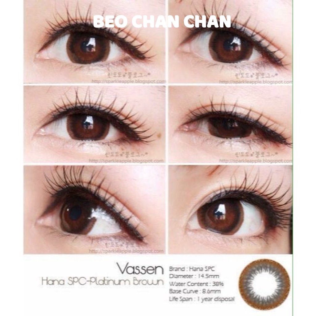 Lens Vassen màu Pratinum Brown