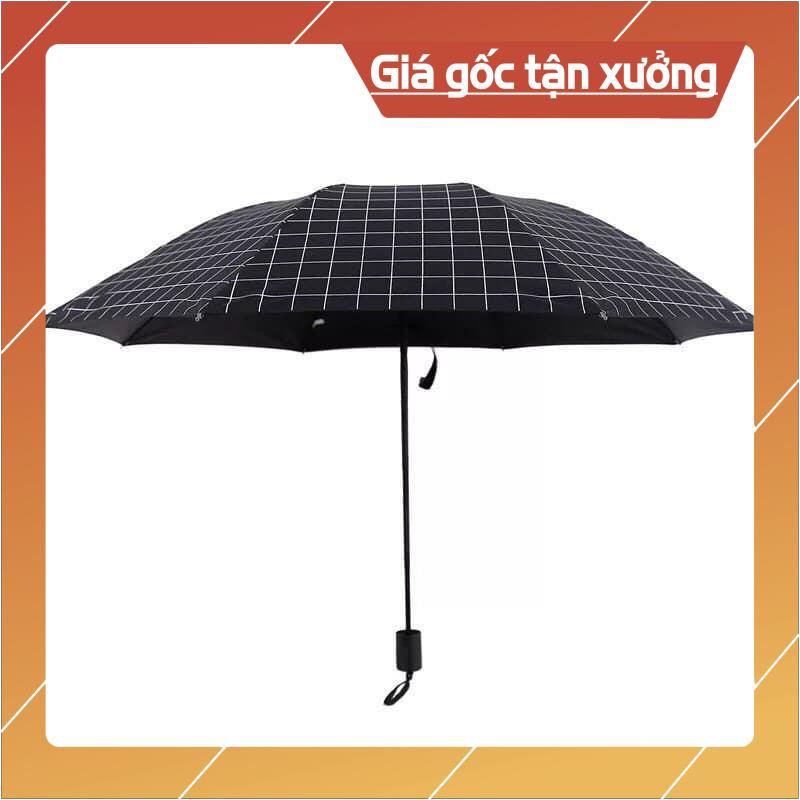 [Bán gía Gốc] Ô kẻ hàn quốc / ô kẻ gập gọn hàn quốc