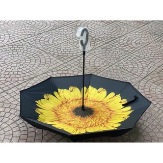 Ô GẤP NGƯỢC 3D