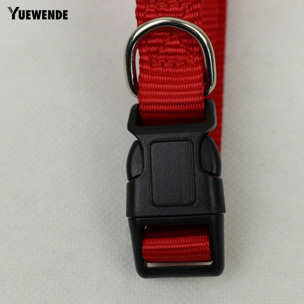 Vòng cổ an toàn đáng yêu dành cho thú cưng