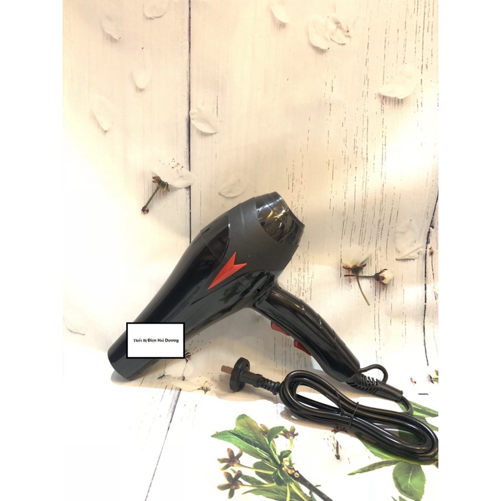 [Freeship] Máy sấy tóc cao cấp PL PH -6699 2 chiều 5000w ( GIÁ RẺ )