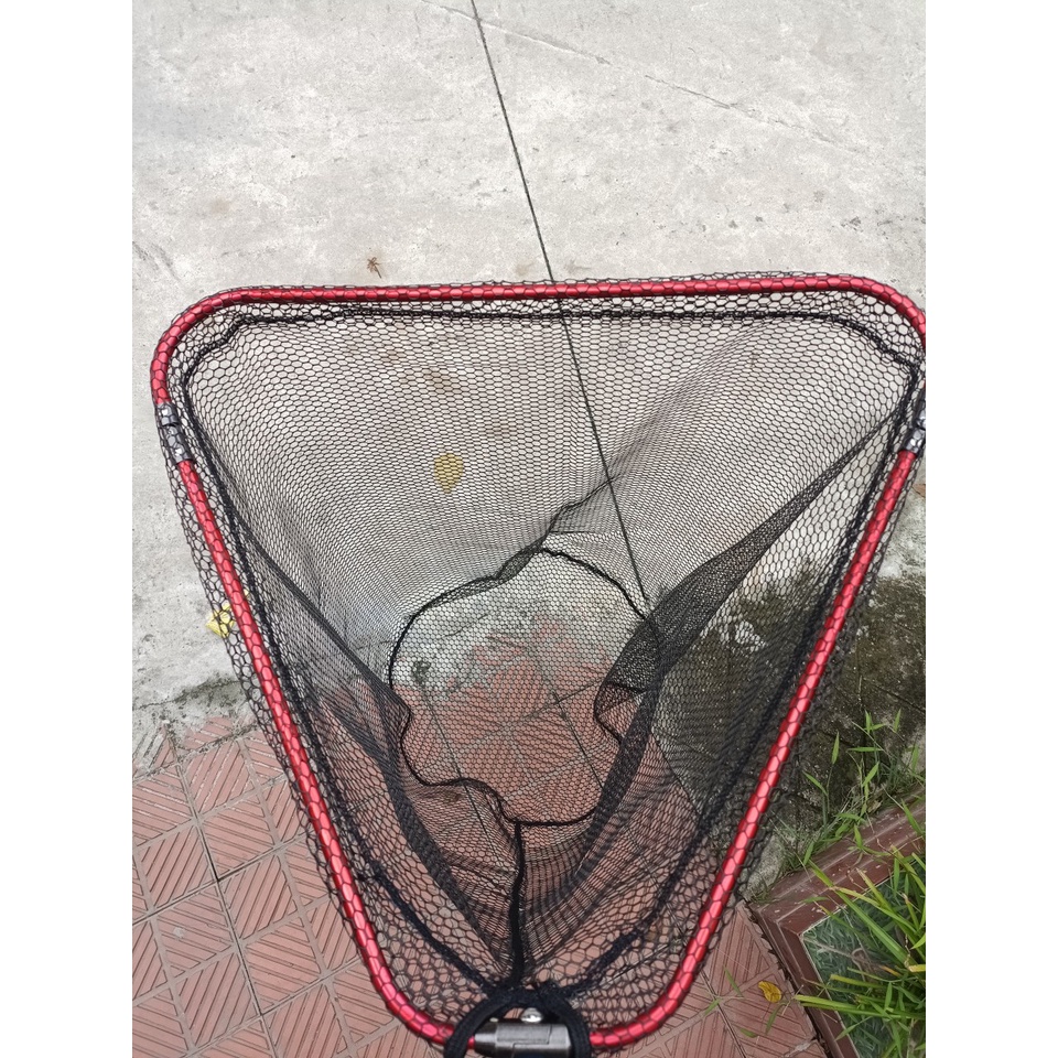 Vành vợt săn hàng gấp gọn tiện dụng size 50 * 65cm