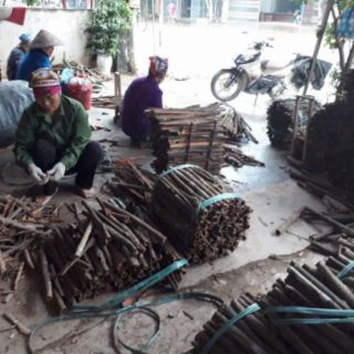 TINH DẦU SẢ- QUẾ NGUYÊN CHẤT 100%