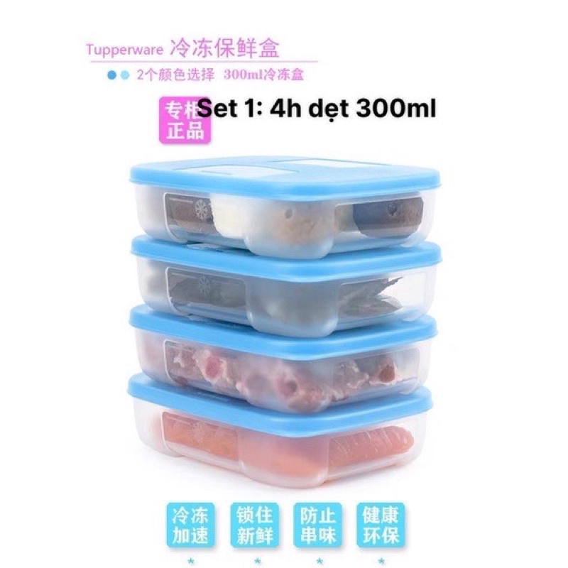 Bộ trữ đông dẹt 300ml Tupperware có sẵn vợt sale