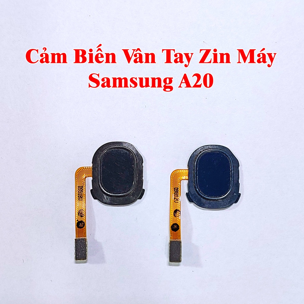 Cảm Biến Có Vân Tay Zin Máy Samsung A10s, 12, 20 s, 21s, 30 s, 31s, 50 s, 70, 8+, 9 Pro, J7 Prime, Pro, 810, 6+, S6, 7,e