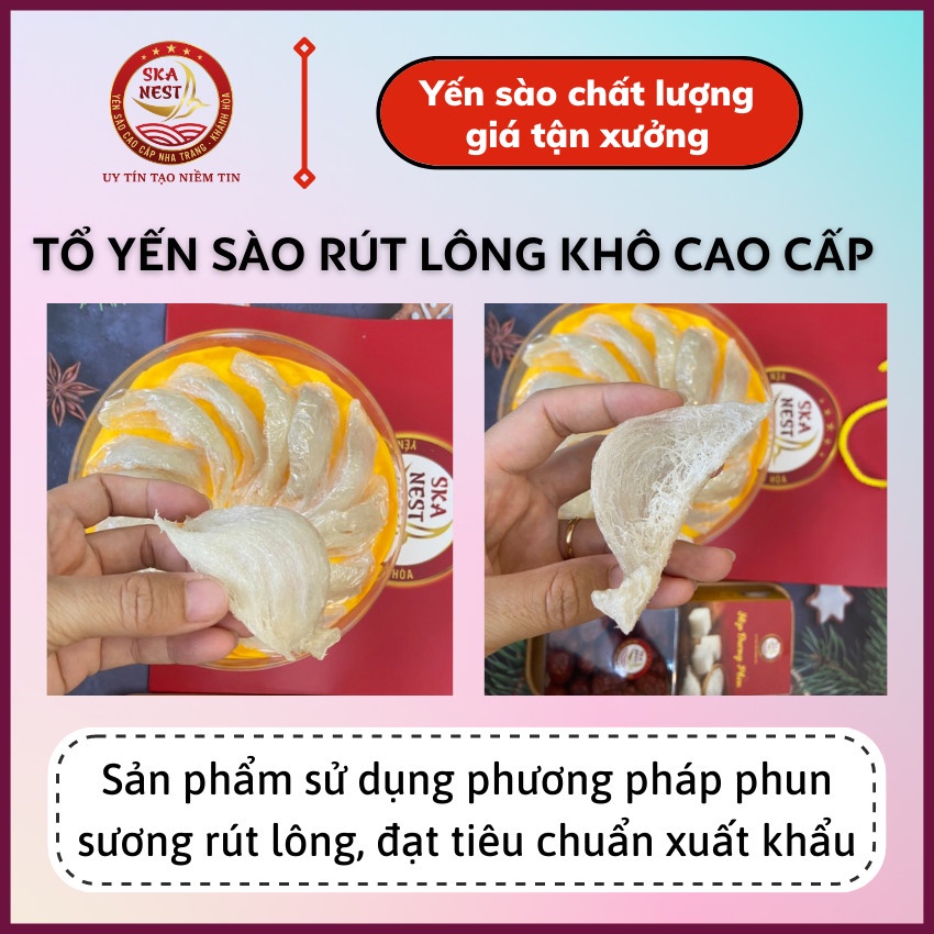 🤗 50gr Yến Sào Rút Lông Tặng táo đỏ, đường phèn, hạt chia ️‍♀️️‍♀️ Tổ Yến Rút Lông