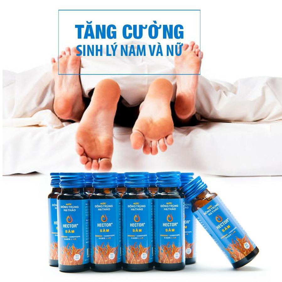 Nước Đông Trùng Hạ Thảo Hector Sâm Hộp 10 Chai Hector Cordyceps Ginseng