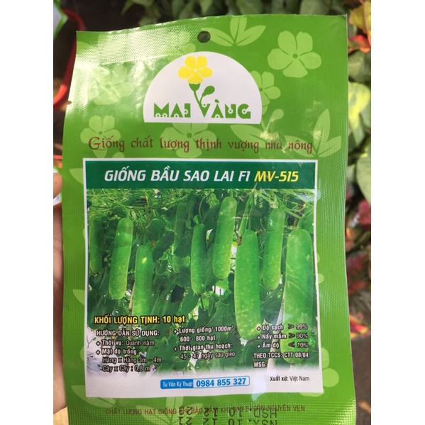 Hạt giống bầu sao