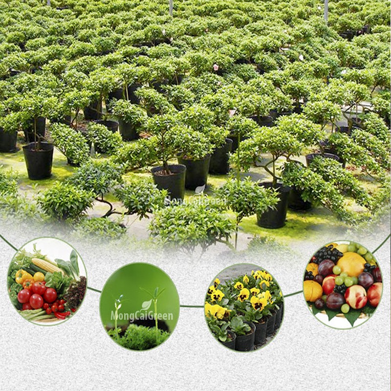 100 Chậu nhựa PE dẻo C11 miệng cao 28x23cm trồng cây bền từ 5 đến 10 năm-77106