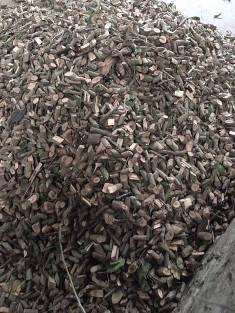 Combo 5kg Xạ đen hoà bình | BigBuy360 - bigbuy360.vn