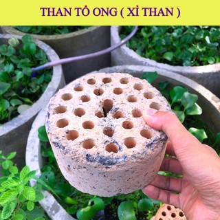THAN TỔ ONG SẠCH SIÊU LỌC NƯỚC