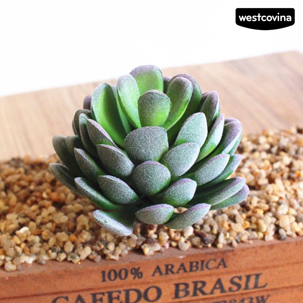 Cây sen đá giả trang trí nhà ở quán cà phê