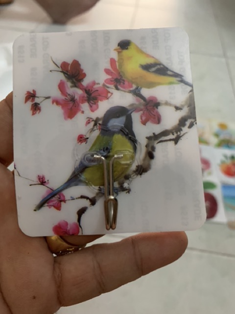 MÓC DÁN TƯỜNG SIÊU DÍNH NHIỀU HÌNH