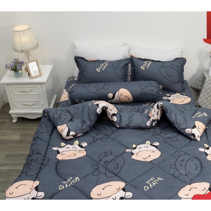 Trọn Bộ 5 Món Chăn Phao Dày Dặn Y Hình - Chất Liệu Poly