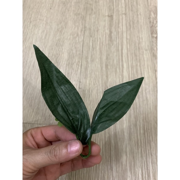 100 gram Lá hoa hồng, Lá lyly