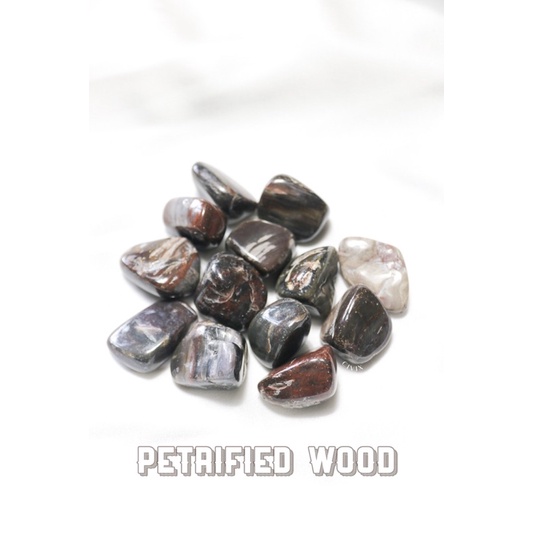 ĐÁ THANH TẨY PETRIFIED WOOD VIÊN RUNG BÓNG