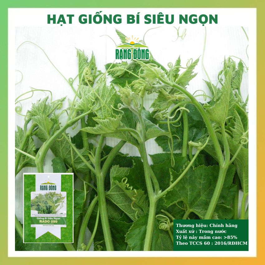 Hạt giống bí siêu ngọn giòn ngọt - rau củ quả trồng tại nhà, sân vườn chịu nhiệt 4 mùa tỉ lệ nảy mầm cao 20gr RADO 0990