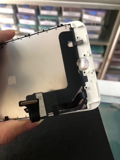 Màn 8plus zin
