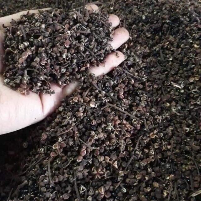 MẮC KHÉN RỪNG TÂY BẮC GIÁ 200K/ 1 KG