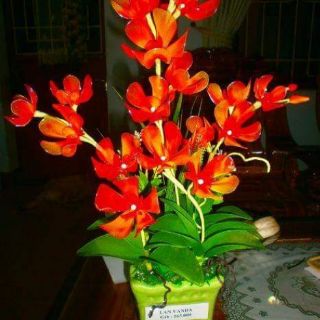 Vải voan màu xanh