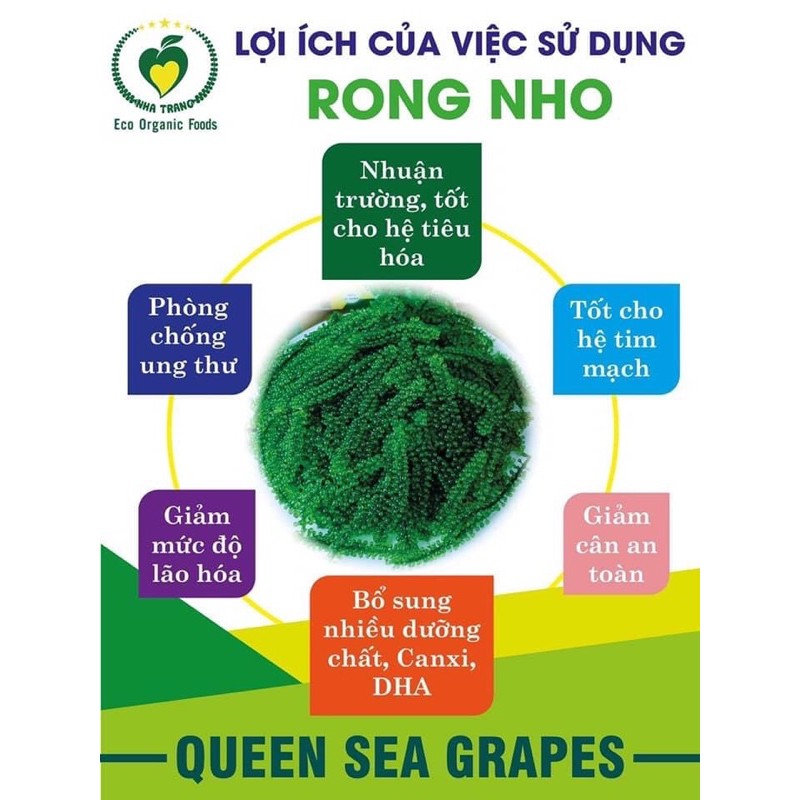 Rong nho tươi tách nước Eco organic food 180gr tươi ngon, bổ dưỡng