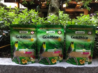 GoldStar TNT Cao Cấp (số3)/100gram