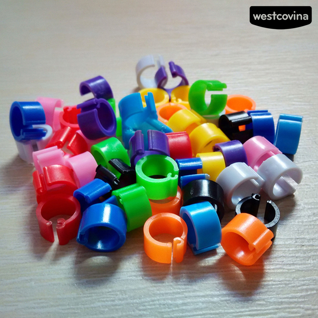 Set 100 Khuyên Đeo Chân Đánh Dấu Gia Cầm Nhiều Màu Sắc 8mm