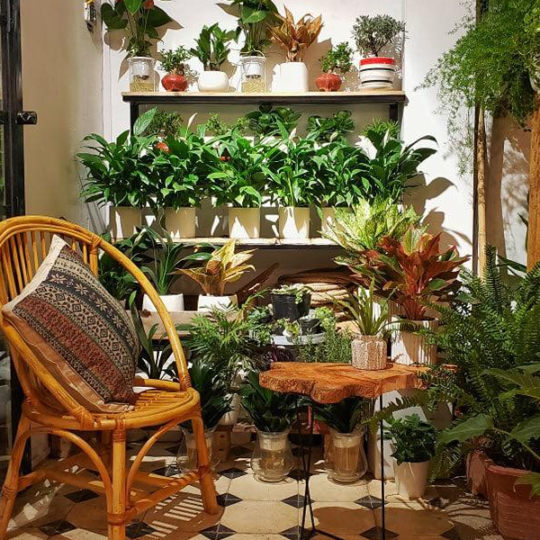 Mây tre tự nhiên - craftsdecor
