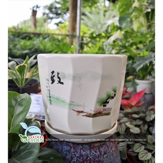 Chậu sứ có dĩa - Chậu để bàn trung (Giao mẫu ngẫu nhiên)
