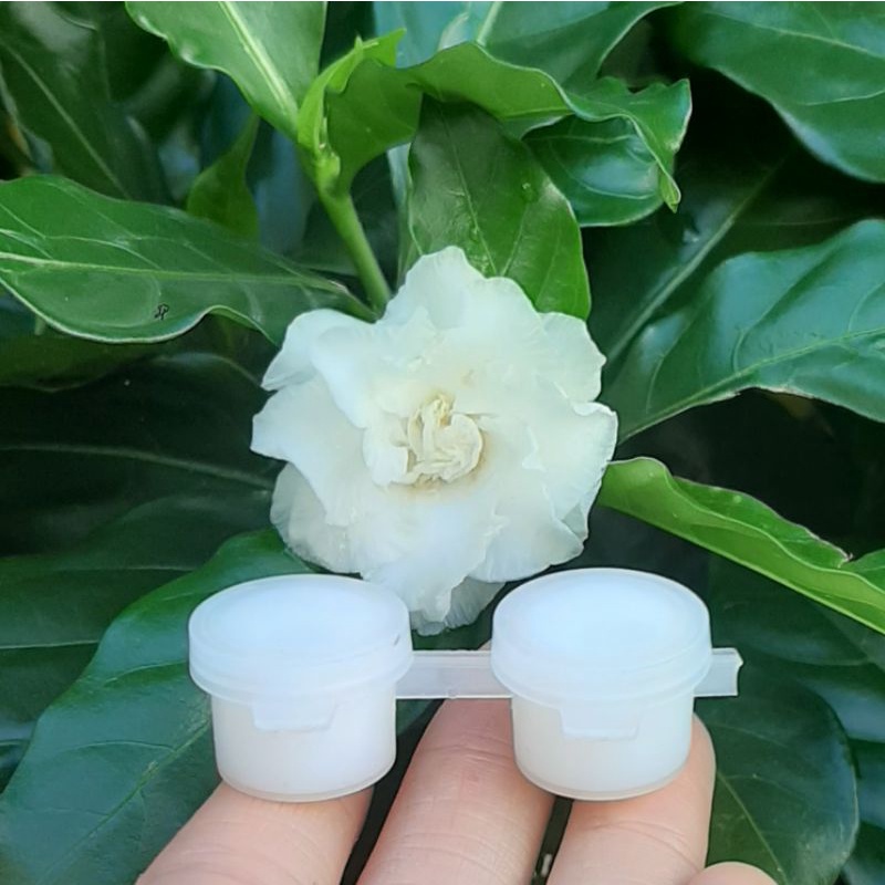 [CÓ SẴN] Sơn bóng phủ tranh sơn dầu số hóa DIY 6ml - Lili Store