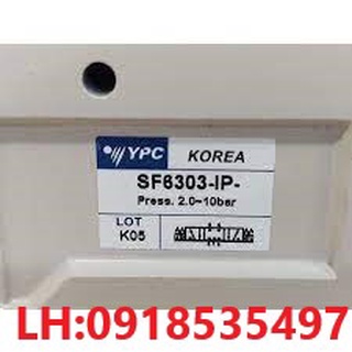 Van điện từ khí sp6303-ip 220v ypc