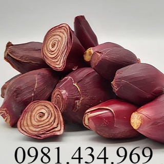 Sâm đại hành củ loại 1 -sp0