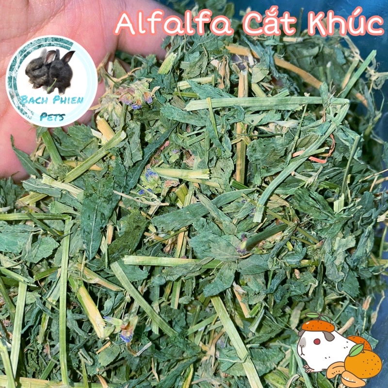 Cỏ Khô Alfalfa Cắt khúc 500gr, đồ ăn cho bọ ú, thỏ, Chuột lang,....